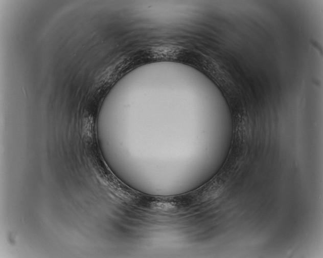 X0000102220649200808081317