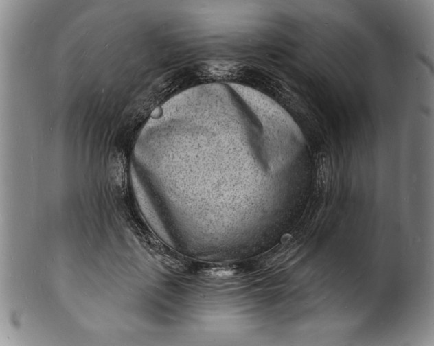 X0000102220651200808081318