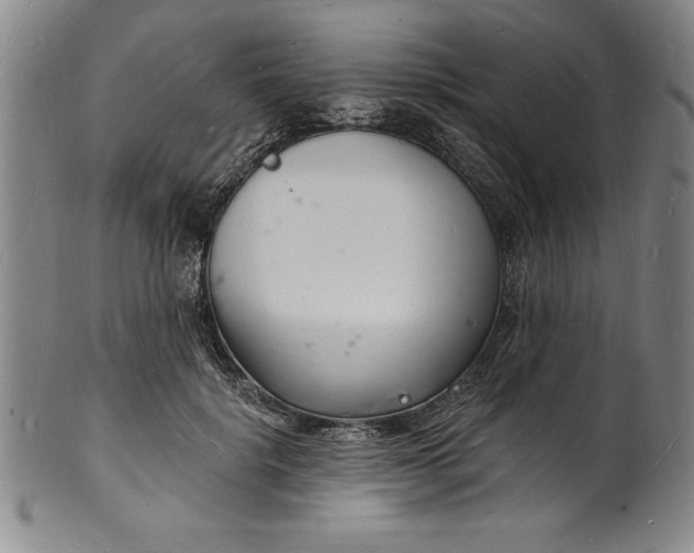 X0000102220652200808081318