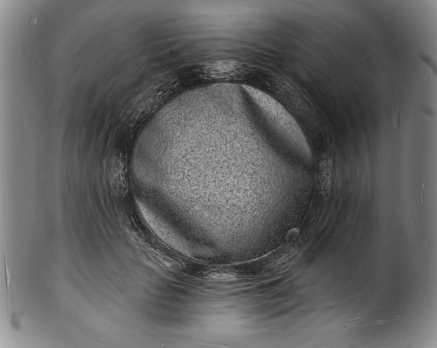 X0000102220653200808081318