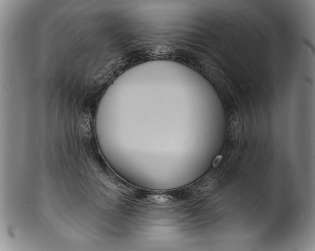 X0000102220654200808081318