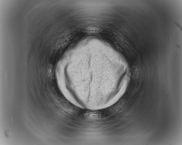 X0000102220655200808081318