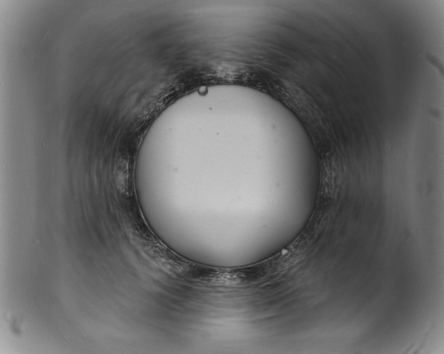 X0000102220656200808081318