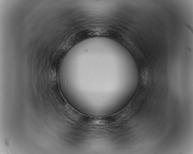 X0000102220657200808081318