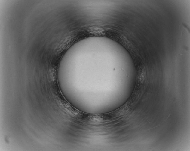 X0000102220658200808081318