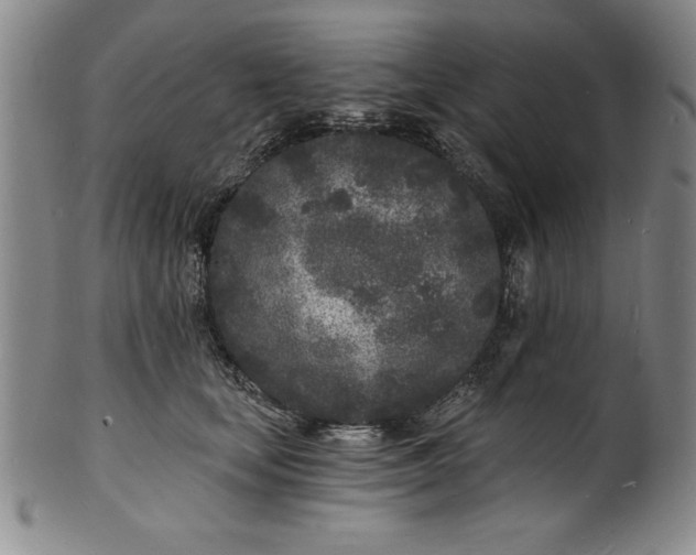 X0000102220659200808081318