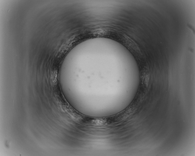 X0000102220660200808081318