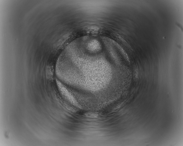 X0000102220661200808081318