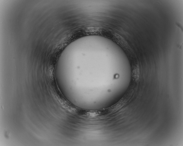 X0000102220662200808081318