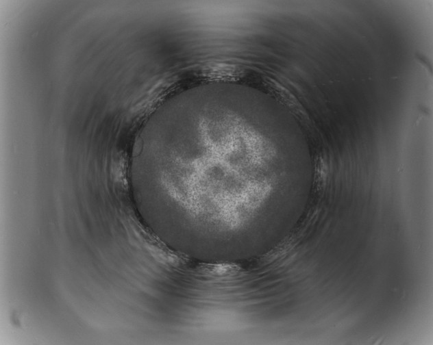 X0000102220663200808081318