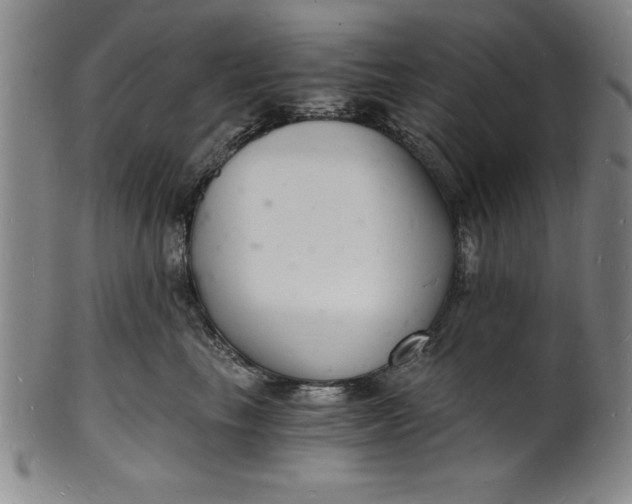 X0000102220665200808081318