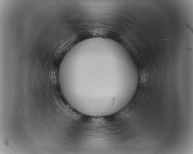 X0000102220666200808081318