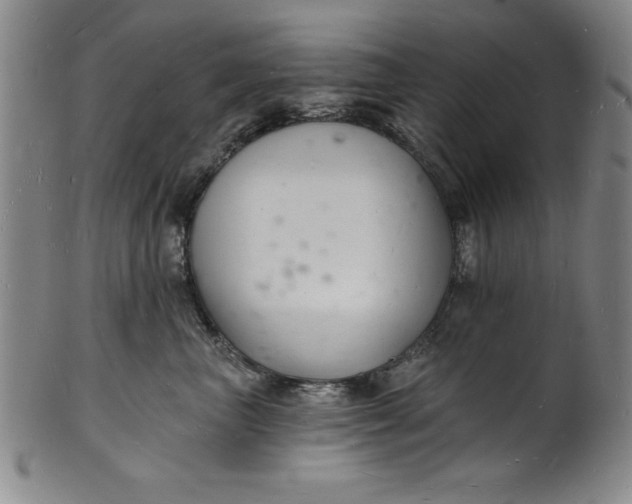 X0000102220667200808081318