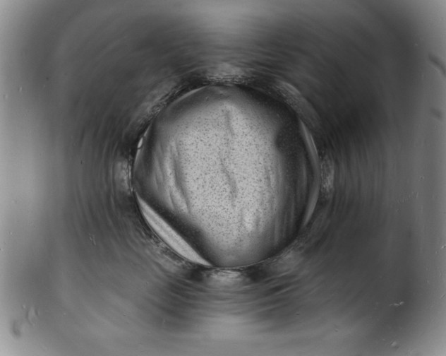 X0000102220669200808081318