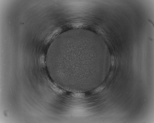 X0000102220670200808081318