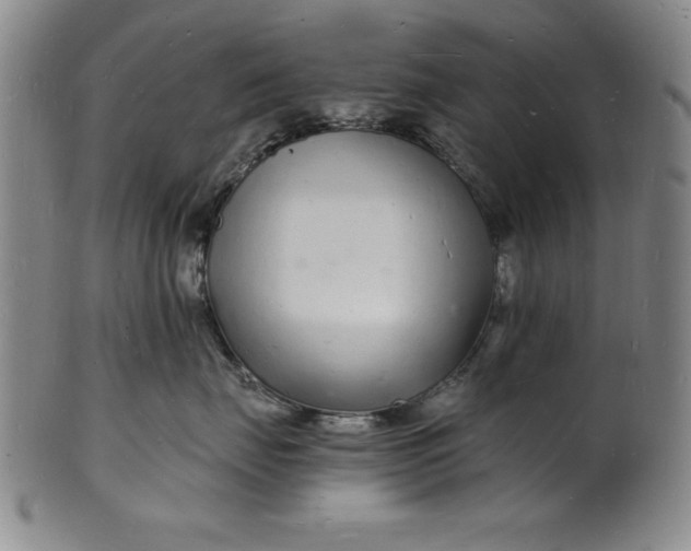 X0000102220671200808081318