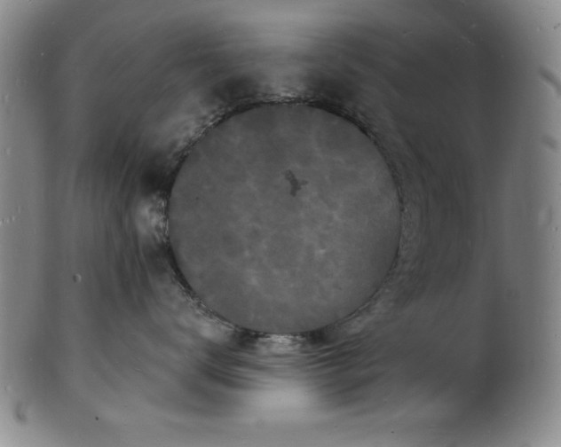 X0000102220672200808081318