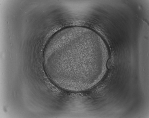 X0000102220673200808081317