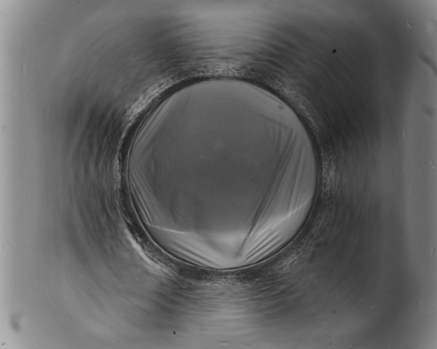 X0000102220674200808081317