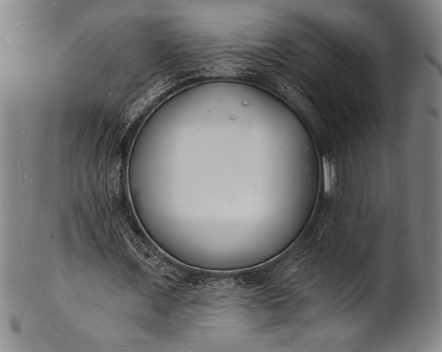 X0000102220675200808081317