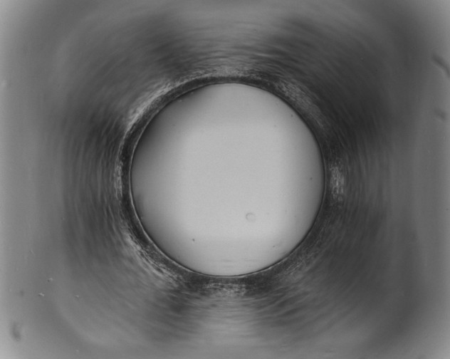 X0000102220676200808081317