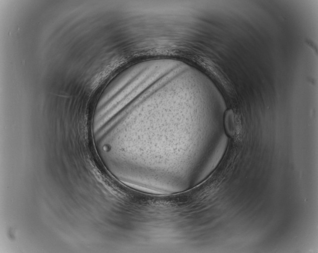 X0000102220677200808081317