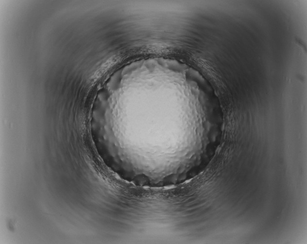 X0000102220679200808081317