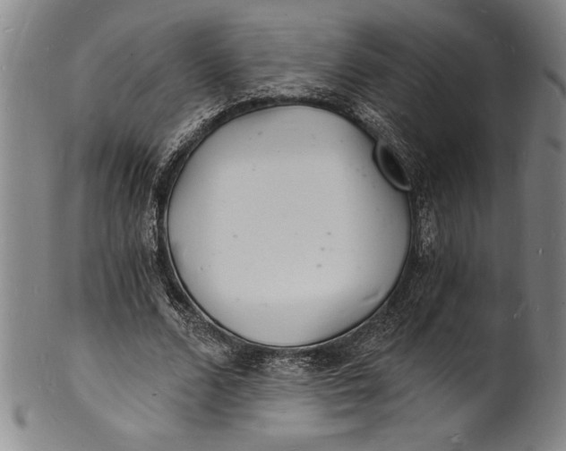 X0000102220680200808081317