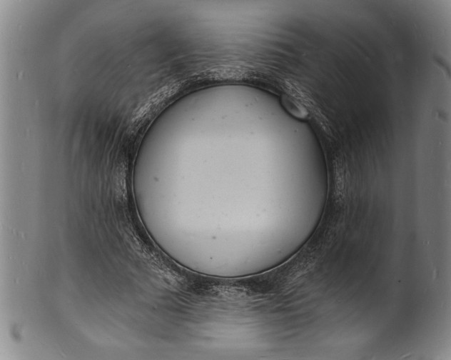 X0000102220681200808081317