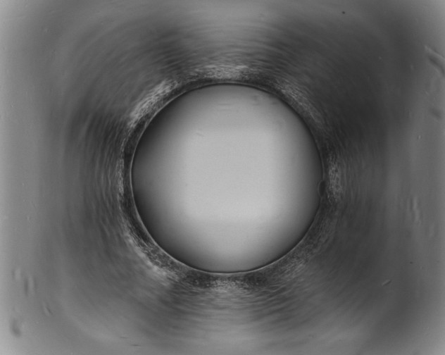 X0000102220682200808081317