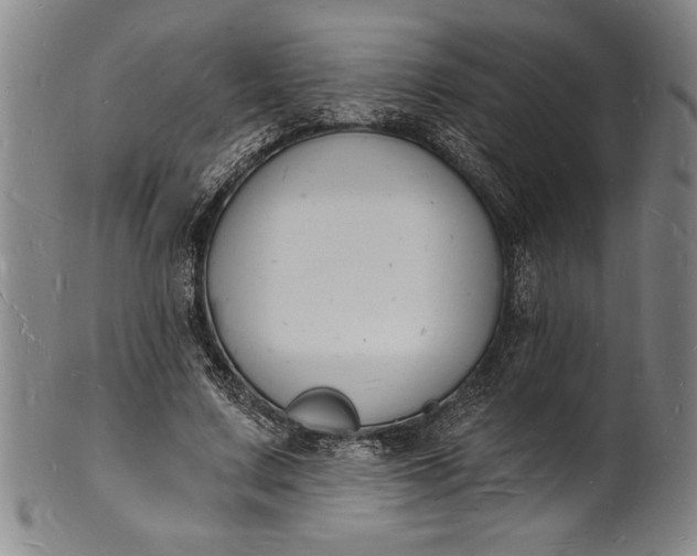 X0000102220683200808081317