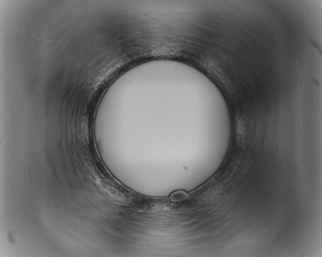 X0000102220684200808081317