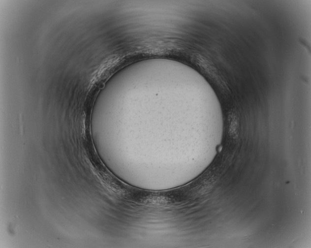 X0000102220685200808081317