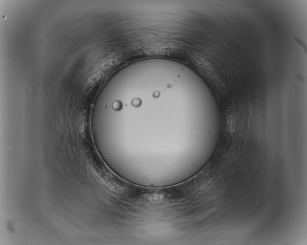 X0000102220687200808081317