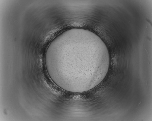 X0000102220688200808081317