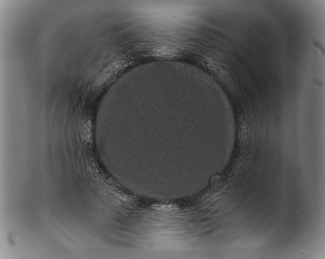 X0000102220689200808081317