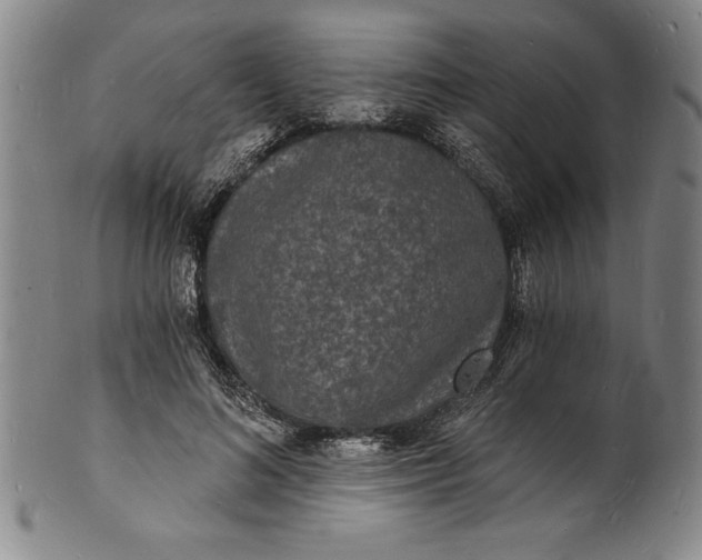 X0000102220692200808081317