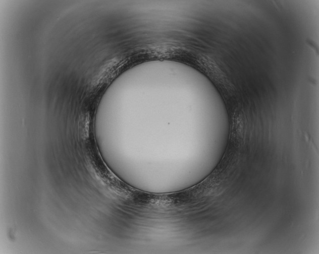 X0000102220694200808081317