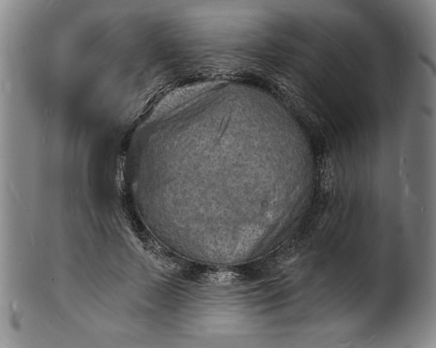 X0000102220695200808081317