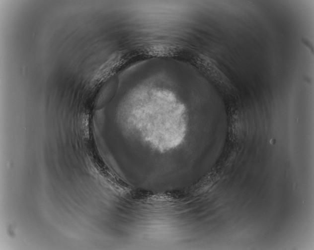 X0000102220696200808081317