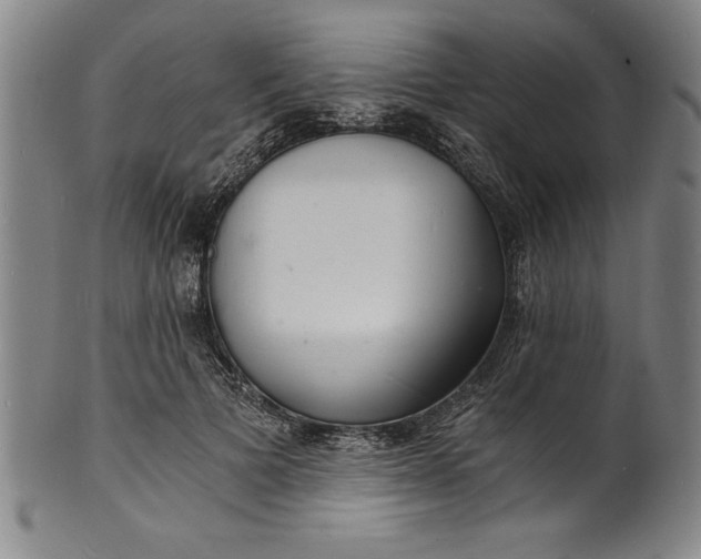 X0000102220697200808081317