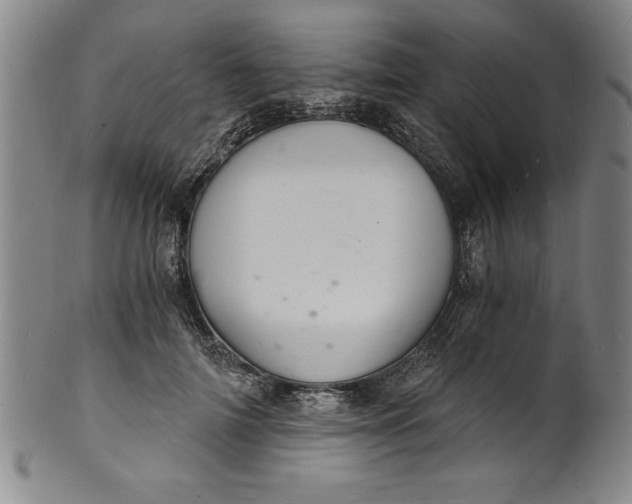 X0000102220698200808081317