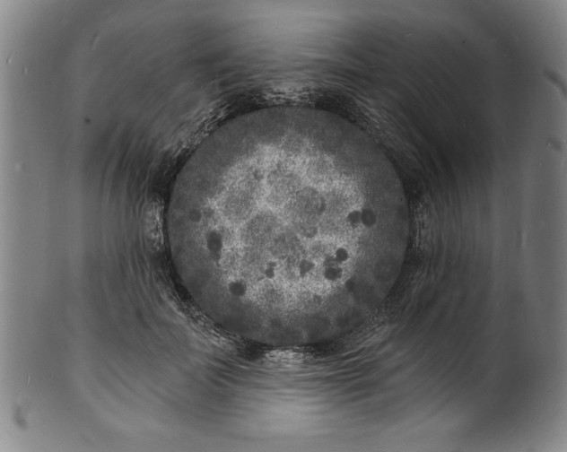 X0000102220699200808081317