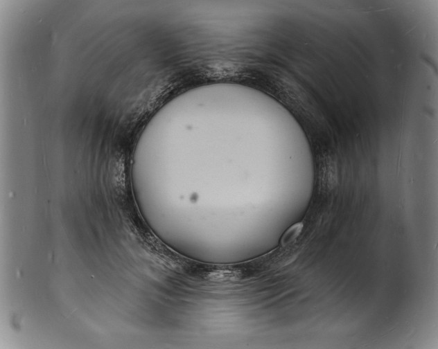 X0000102220700200808081317