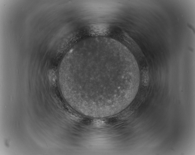 X0000102220701200808081317