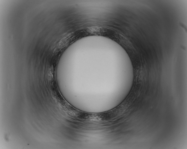 X0000102220702200808081317