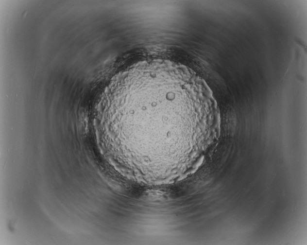 X0000102220703200808081317