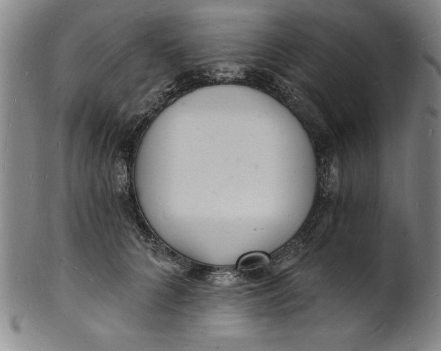 X0000102220704200808081317