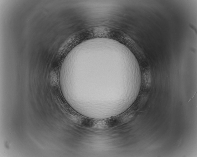 X0000102220705200808081317