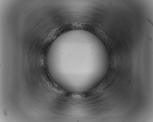 X0000102220706200808081317